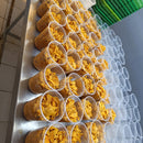 POTE DE ERIZOS 250grs